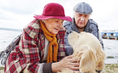 Senior opiekuje się zwierzętami – pozytywny wpływ na codzienność